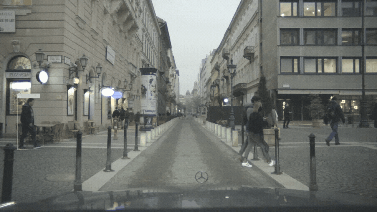 Pedestrian Crossing Action Prediction: A Comparative Study Using a Novel Dataset